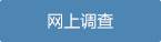 網上調查