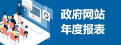 政府網站年度報表